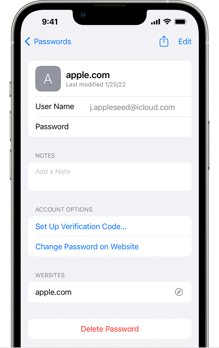 iPhone Passwords